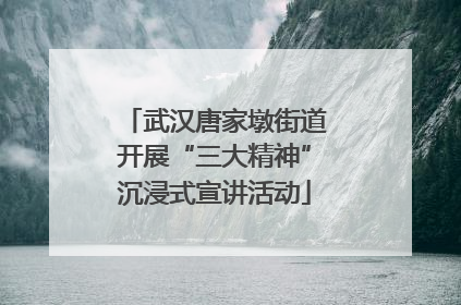 武汉唐家墩街道开展“三大精神”沉浸式宣讲活动