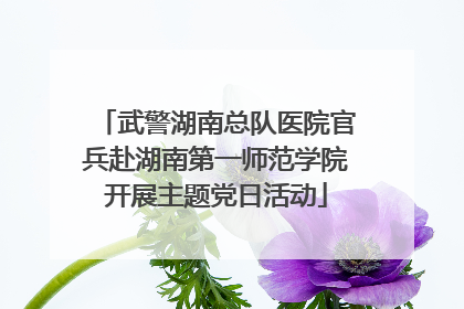 武警湖南总队医院官兵赴湖南第一师范学院开展主题党日活动