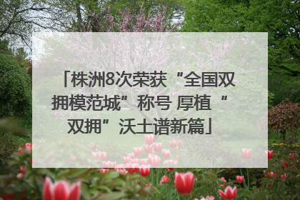 株洲8次荣获“全国双拥模范城”称号 厚植“双拥”沃土谱新篇