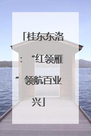 桂东东洛：“红领雁”领航百业兴