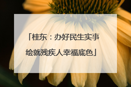 桂东：办好民生实事 绘就残疾人幸福底色