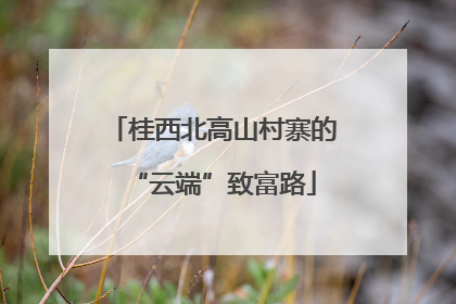 桂西北高山村寨的“云端”致富路