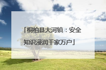 桐柏县大河镇：安全知识浸润千家万户