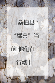 桑植县：“猛兽”当前 他们在行动