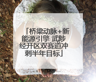 桥梁动脉+新能源引擎 武陟经开区双赛道冲刺半年目标
