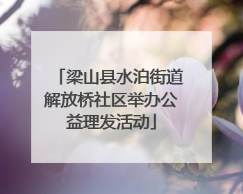 梁山县水泊街道解放桥社区举办公益理发活动