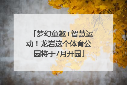 梦幻童趣+智慧运动！龙岩这个体育公园将于7月开园