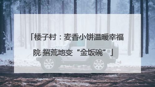 楼子村：麦香小饼温暖幸福院 撂荒地变“金饭碗”