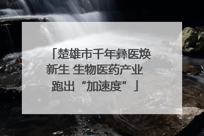 楚雄市千年彝医焕新生 生物医药产业跑出“加速度”
