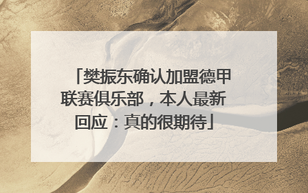 樊振东确认加盟德甲联赛俱乐部，本人最新回应：真的很期待