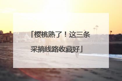 樱桃熟了！这三条采摘线路收藏好