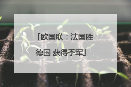 欧国联：法国胜德国 获得季军