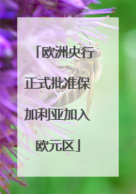 欧洲央行正式批准保加利亚加入欧元区