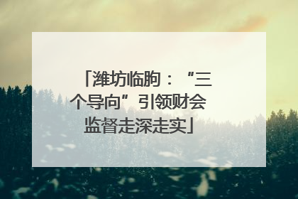 潍坊临朐：“三个导向”引领财会监督走深走实