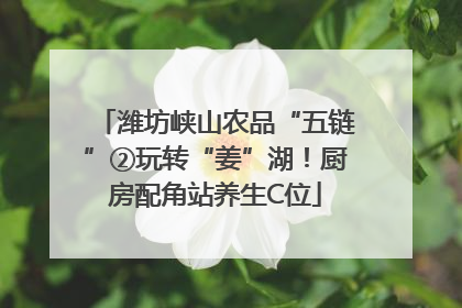 潍坊峡山农品“五链”②玩转“姜”湖！厨房配角站养生C位