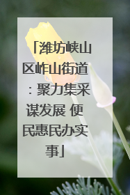 潍坊峡山区岞山街道：聚力集采谋发展 便民惠民办实事