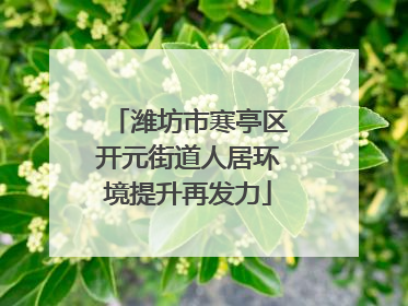 潍坊市寒亭区开元街道人居环境提升再发力