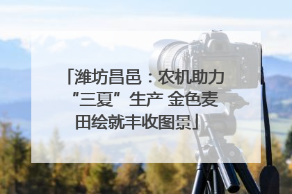 潍坊昌邑：农机助力“三夏”生产 金色麦田绘就丰收图景