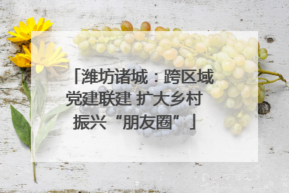潍坊诸城：跨区域党建联建 扩大乡村振兴“朋友圈”