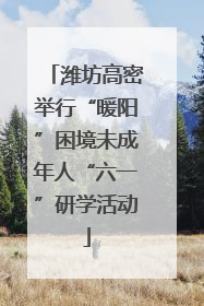 潍坊高密举行“暖阳”困境未成年人“六一”研学活动