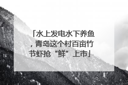 水上发电水下养鱼，青岛这个村百亩竹节虾抢“鲜”上市