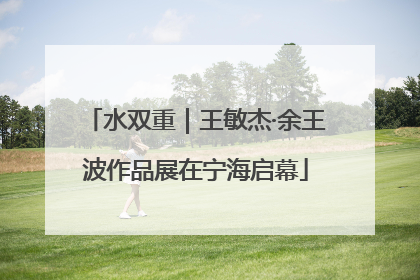 水双重｜王敏杰·余王波作品展在宁海启幕