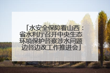 水安全保障看山西：省水利厅召开中央生态环境保护督察涉水问题边督边改工作推进会