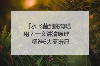 水飞蓟到底有啥用？一文讲清原理，精选6大靠谱品牌助你科学养生