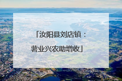 汝阳县刘店镇：薯业兴农助增收