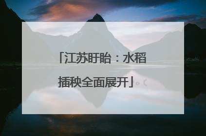 江苏盱眙：水稻插秧全面展开