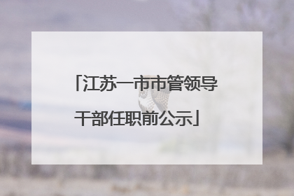 江苏一市市管领导干部任职前公示