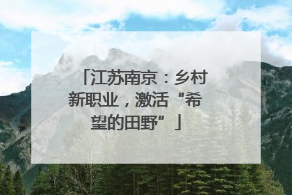 江苏南京：乡村新职业，激活“希望的田野”