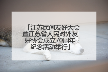 江苏民间友好大会暨江苏省人民对外友好协会成立70周年纪念活动举行