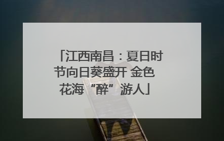 江西南昌：夏日时节向日葵盛开 金色花海“醉”游人
