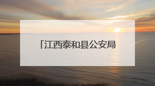 江西泰和县公安局经侦大队：运用新型警务助力护企安商跑出“加速度”