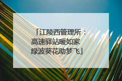 江陵西管理所：高速驿站暖如家 绿波葵花助梦飞
