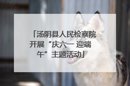汤阴县人民检察院开展“庆六一 迎端午”主题活动