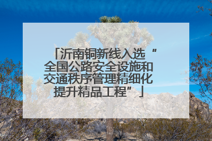 沂南铜新线入选“全国公路安全设施和交通秩序管理精细化提升精品工程”