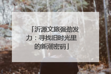 沂源文旅强劲发力：寻找旧时光里的新潮密码