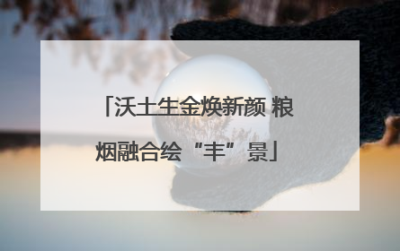 沃土生金焕新颜 粮烟融合绘“丰”景