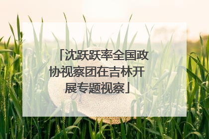 沈跃跃率全国政协视察团在吉林开展专题视察