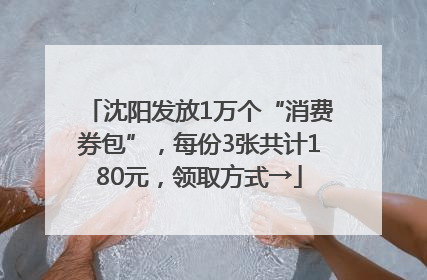 沈阳发放1万个“消费券包”，每份3张共计180元，领取方式→