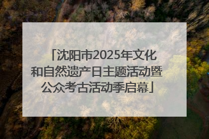 沈阳市2025年文化和自然遗产日主题活动暨公众考古活动季启幕