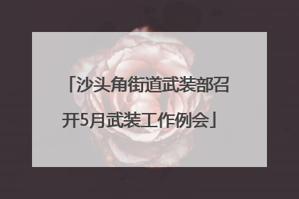 沙头角街道武装部召开5月武装工作例会