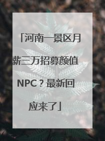 河南一景区月薪三万招募颜值NPC？最新回应来了