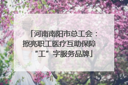 河南南阳市总工会：擦亮职工医疗互助保障“工”字服务品牌