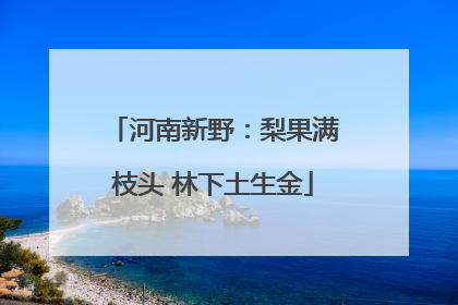 河南新野：梨果满枝头 林下土生金