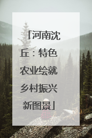 河南沈丘：特色农业绘就乡村振兴新图景