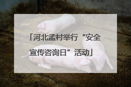 河北孟村举行“安全宣传咨询日”活动