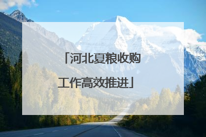河北夏粮收购工作高效推进